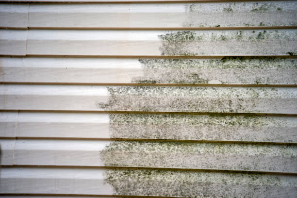 Affordable Siding Repair and Maintenance Services in Laguna Beach, FL